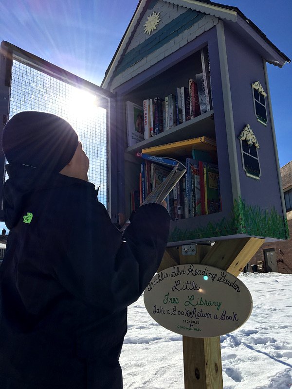 Little Free Library